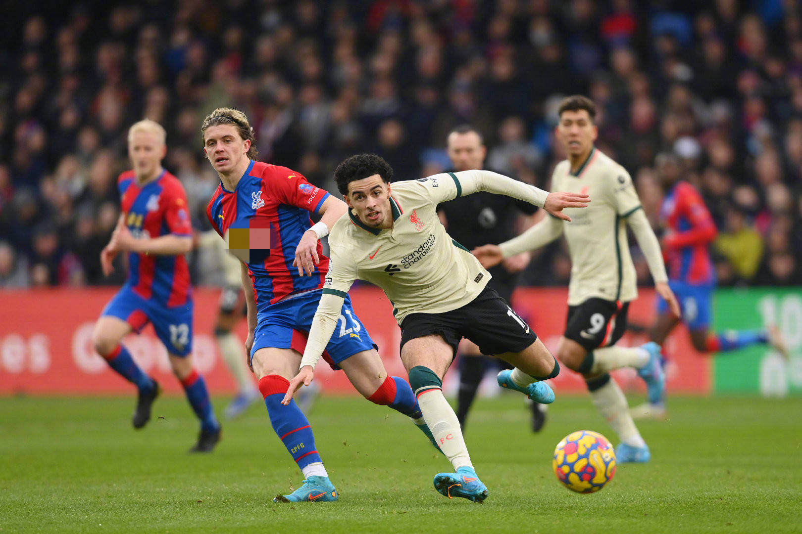 合作机遇 合作机遇